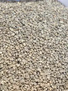 【コーヒー生豆】エチオピアモカレケンプティG4 /ナチュラル1.2kg※送料無料のサムネイル
