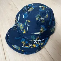 the north face NN01926