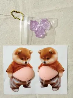 柴犬　お腹　シール　スクイーズ　お腹　ぽっこり　シリコン　肉球　ぷにぷに