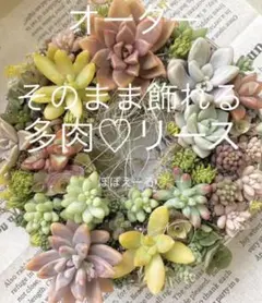 ♡多肉植物そのまま飾れるリース♡只今オーダーお休み中