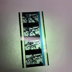 Item thumbnail for item edba8e92-bbb7-4637-b647-a70310583e31