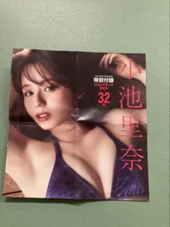 溝端葵&高野真央FRIDAY 直筆サイン入りチェキ 応募券 5枚 抽プレ懸賞