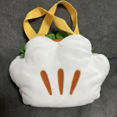 ミッキーグローブ　チキンパオ　ディズニー　スーベニアランチケース　パークフード