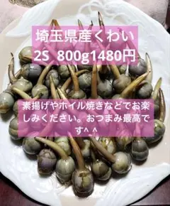 2026年最新】くわい 野菜の人気アイテム - メルカリ