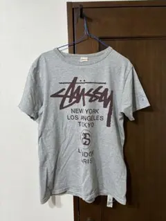 ステューシー　チャンピオンコラボ　半袖tシャツ