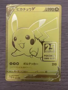ゴールデンピカチュウ 総曲輪にピカチュウ…ではなくキャプテンピカチュウがいました