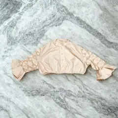 古着 一点もの レース袖ショート丈ブラウス｜ボリューム袖 個性派