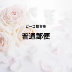 ピーコ様 リクエスト 2点 まとめ商品