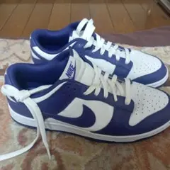 美品 NIKEDUNKLOW 26 中島着