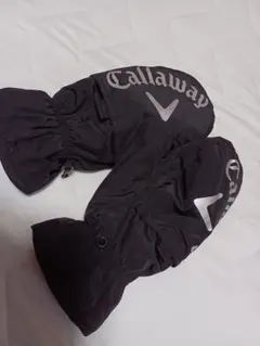 Item thumbnail for item 29865619-6f74-4178-879d-d9aefb71da6a