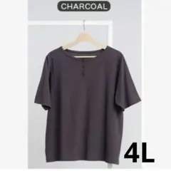 新品 しまむら Hina 4L ヘンリーネック Tシャツ ひなのサムネイル