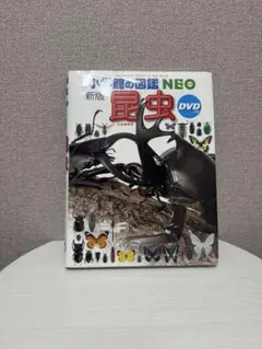 【即日発送】小学館の図鑑NEO 昆虫 DVD