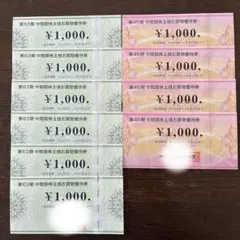 【最新:匿名発送】ビックカメラ&コジマ 株主優待券 10,000円分
