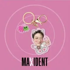 Straykids バンチャンZOO アクリルキーホルダー