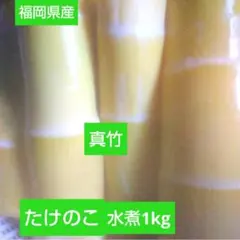 福岡県産　たけのこ水煮1kg　真竹のサムネイル