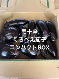 黒十全　くろべえ茄子のサムネイル