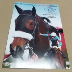 2023年ジャパンカップ　顕彰馬選定記念アーモンドアイ表紙レーシングプログラム