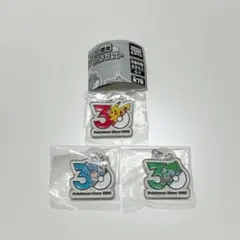ポケモン　30周年　メタルチャームマスコット　3点セット