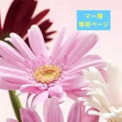 ★マー様専用ページ★