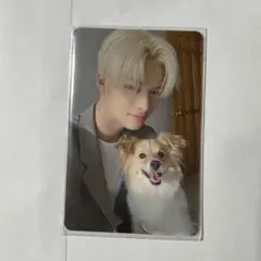 【本日限定値下げ】 ENHYPEN アンケートトレカ 2025 ニキ