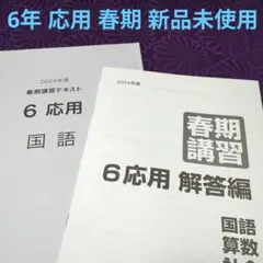 2026年最新】日能研 6年 テキストの人気アイテム - メルカリ
