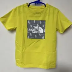 ノースフェイス知床Tシャツ