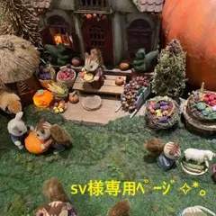 sv様専用ページ✧*。