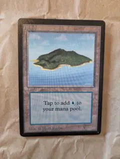 MTG APAC 平地 ひまわり 管理番号D - メルカリ