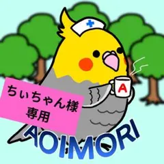 ちぃちゃん様 リクエスト 2点 まとめ商品