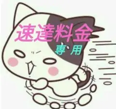 クルミ 様 専用　速達料金 追加分