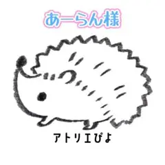 あーらん様専用　発送用