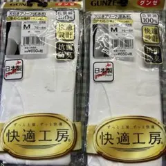 GUNZE 快適工房　ブリーフ綿100% Mサイズ 2枚セット