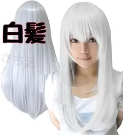 Item thumbnail for item 256456e7-9424-4541-9942-ed6008cd2e78