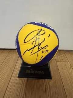 ヴィクトリーナ姫路 バレーボール