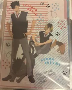 ハイキュー 音駒 クリアファイル 孤爪研磨 黒尾鉄朗