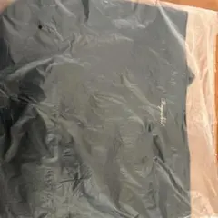 リンガーハット 福袋　バッグ