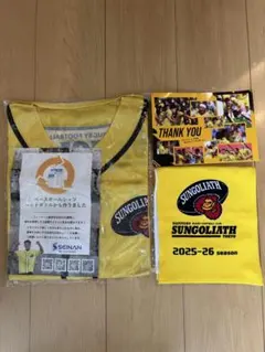 Item thumbnail for item 5affb0f6-b2d5-4432-95e2-e55f6c1aa30a