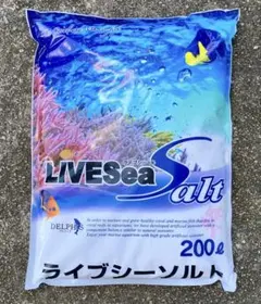 2026年最新】ライブシーソルトの人気アイテム - メルカリ