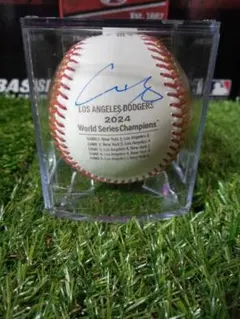 ワールドシリーズ2024 大谷翔平 山本由伸 チャンピオン記念直筆サインボール