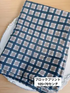 レオ林檎  ★様 リクエスト 2点 まとめ商品