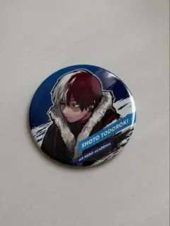 轟焦凍 コレクション缶バッジ 冬十傑 10点 轟焦凍 コレクション缶バッジ 冬十傑 10点 僕のヒーロー