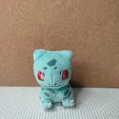 ポケモンセンター　ポケモン　フシギダネ　ぬいぐるみ　マスコット