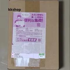 ポケモンカード テラスタルフェスex BOX ダンボール未開封 シュリンク付