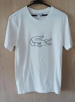 LACOSTE ラコステ Tシャツ ホワイト