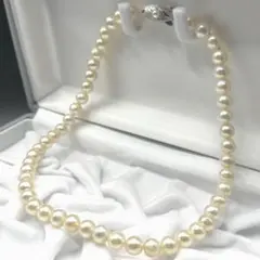 Item thumbnail for item 98515f61-aa1c-402c-be24-941758b0cd73