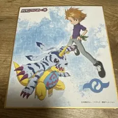 メダロットS クリアファイル A4サイズ メタビー&ロクショウ【非売品