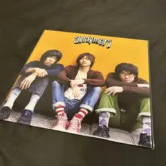 andymori レコード 都会をすごい速さで走るベンガルトラ