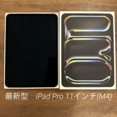 Apple 最新型 iPad Pro 11インチ M4 256GB Wi-Fi