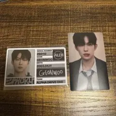 ALD1 ゴヌ IDカード EUPHORIA トレカ ステッカー