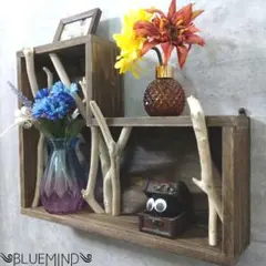 Item thumbnail for item d0f40301-1b64-4506-9330-f74d1de8e9ca